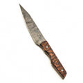 5" Paring Knife